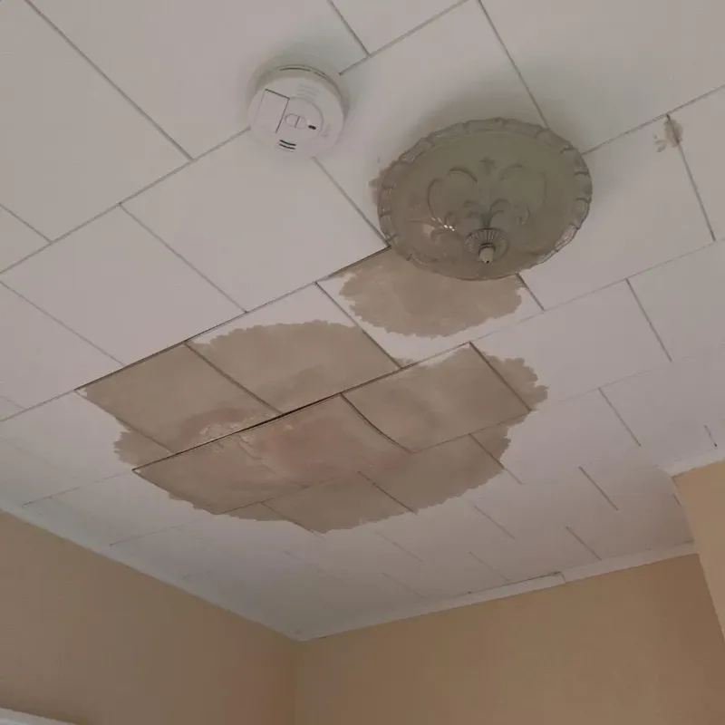 Ceiling Water Damage Repair in Falmouth, VA