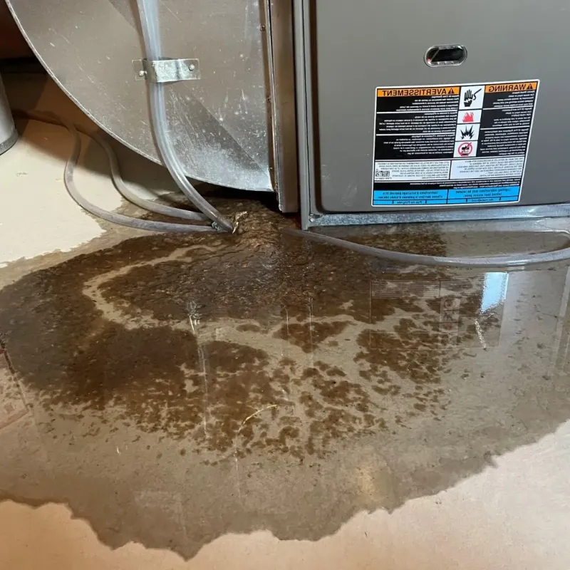 Pipe Burst and Leak Restoration in Falmouth, VA