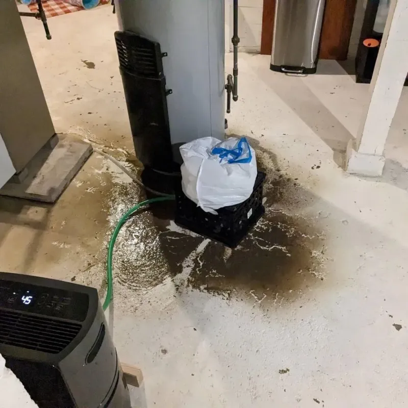 Sewage Backup Cleanup Service in Falmouth, VA